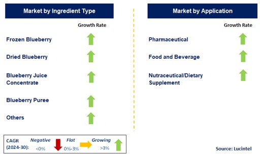 Blueberry Ingredient by Segment