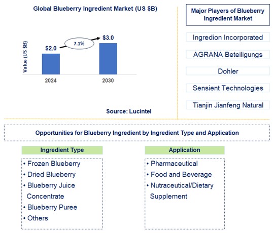 Blueberry Ingredient Trends and Forecast