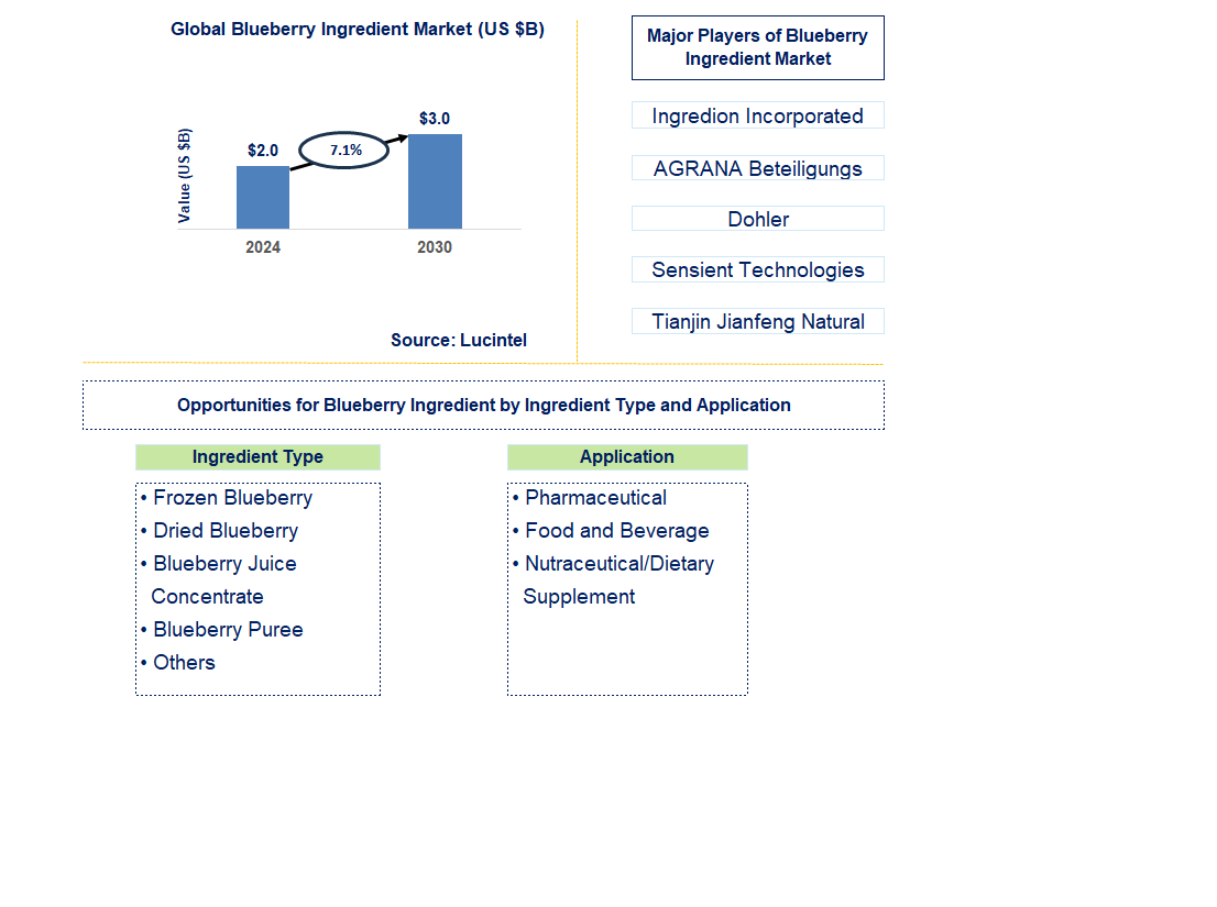 Blueberry Ingredient Trends and Forecast