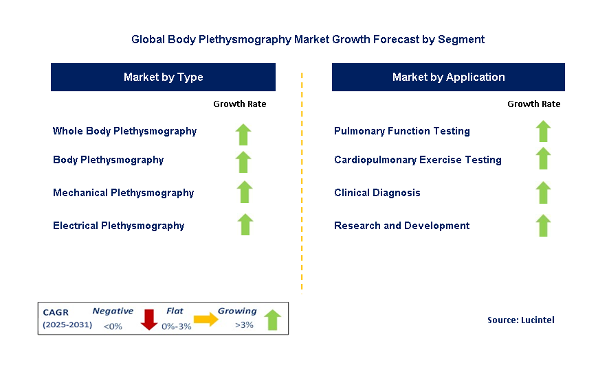 Body Plethysmography Market by Segment