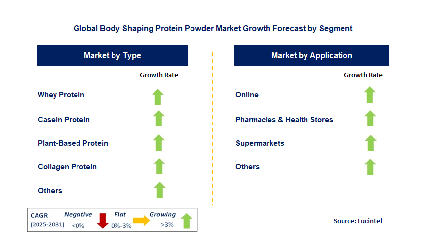 Body Shaping Protein Powder Market by Segment