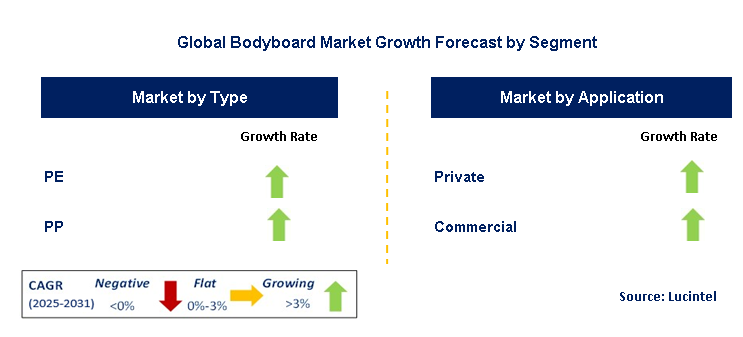 Bodyboard Market by Segment