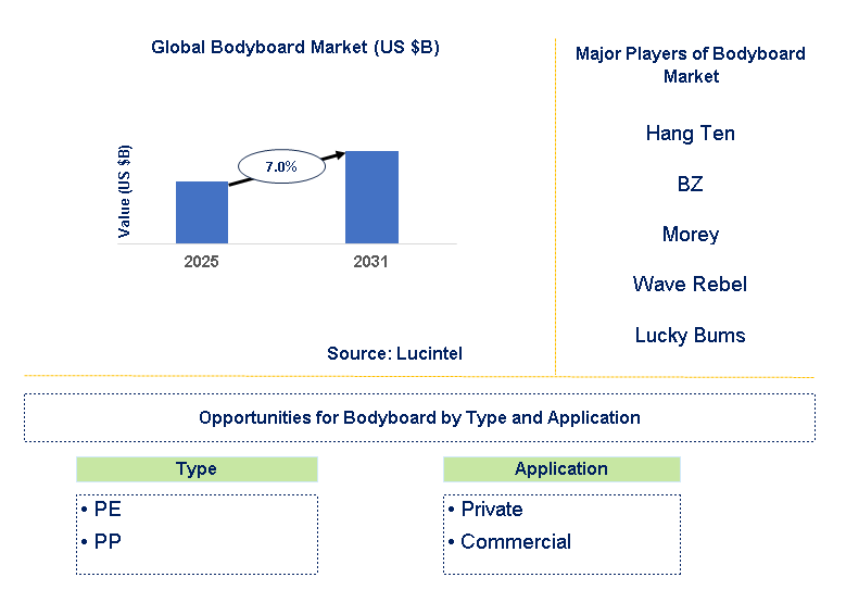 Bodyboard Market Trends and Forecast