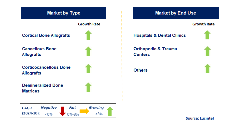 Bone Allograft by Segment