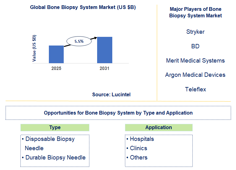 Bone Biopsy System Market Trends and Forecast