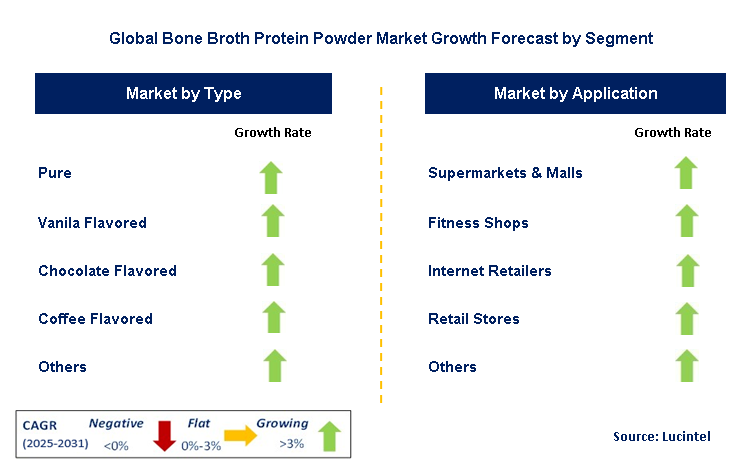 Bone Broth Protein Powder Market by Segment