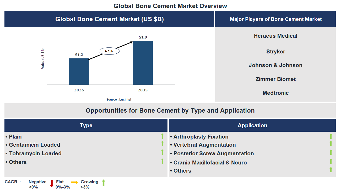 Bone Cement Market Trends and Forecast