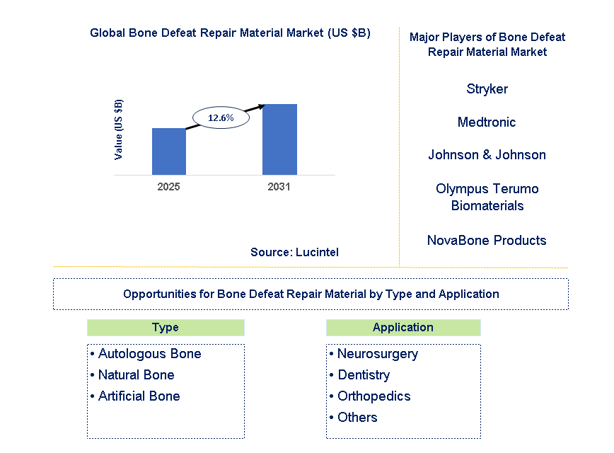 Bone Defeat Repair Material Market Trends and Forecast