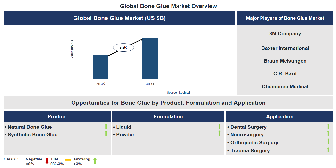 Bone Glue Market Trends and Forecast