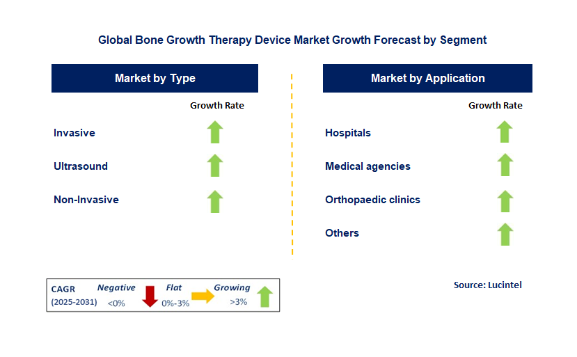 Bone Growth Therapy Device Market by Segment