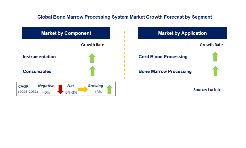 Bone Marrow Processing System Market by Segment