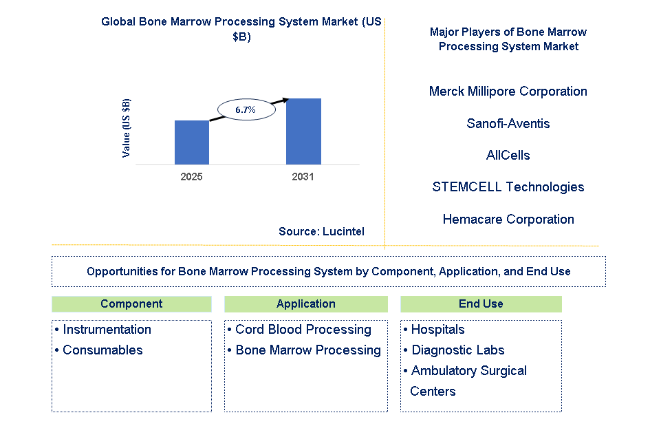 Bone Marrow Processing System Market Trends and Forecast
