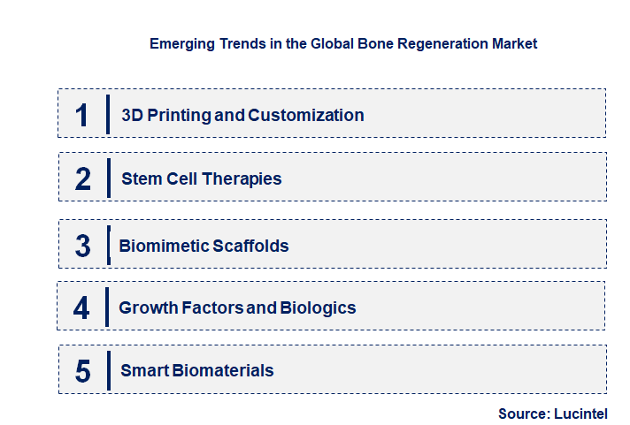 Bone Regeneration Market by Segment