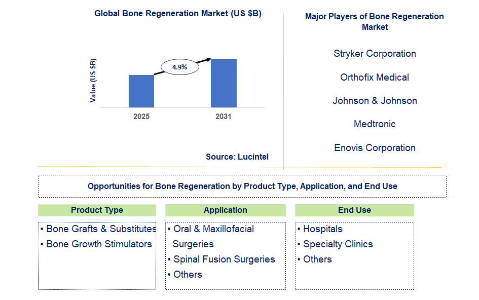 Bone Regeneration Market Trends and Forecast
