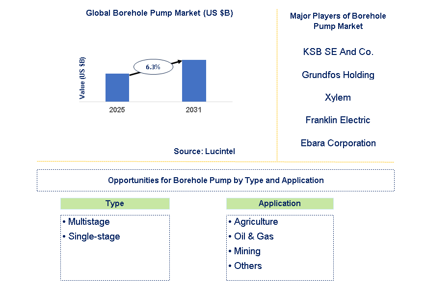 Borehole Pump Market Trends and Forecast