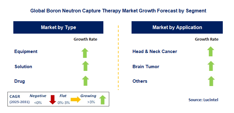 Boron Neutron Capture Therapy Market by Segment