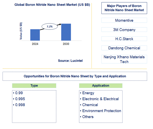 Boron Nitride Nano Sheet Market Trends and Forecast