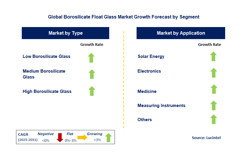 Borosilicate Float Glass Market by Segment