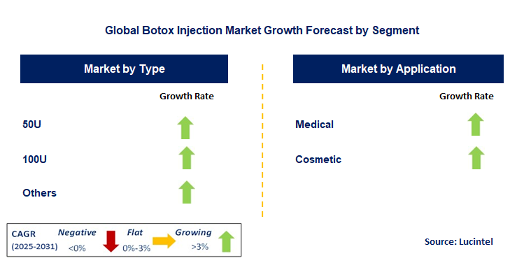 Botox Injection Market by Segment