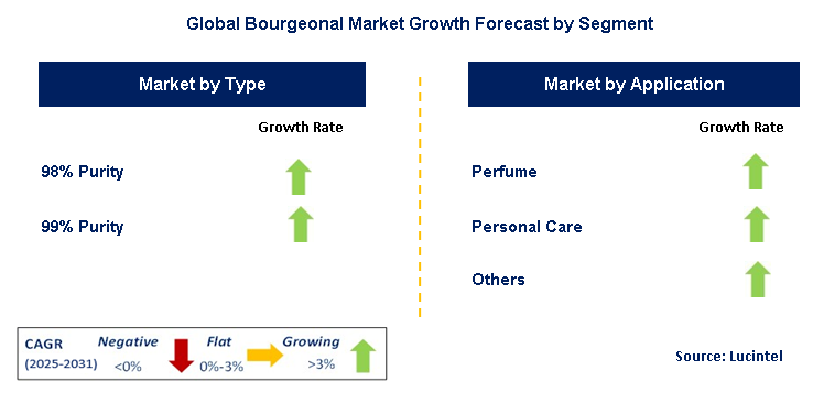 Bourgeonal Market by Segment Bourgeonal Market by Segment