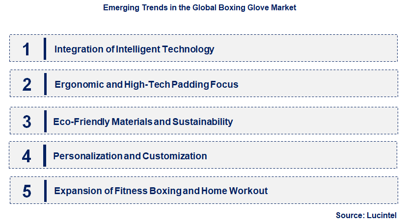Emerging Trends in the Boxing Glove Market