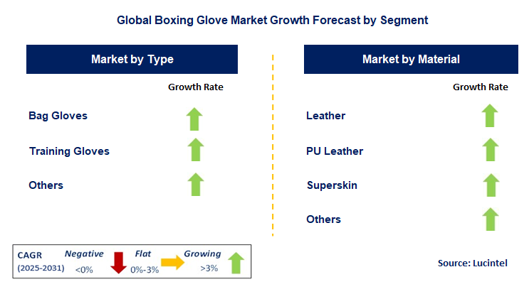 Boxing Glove Market by Segment