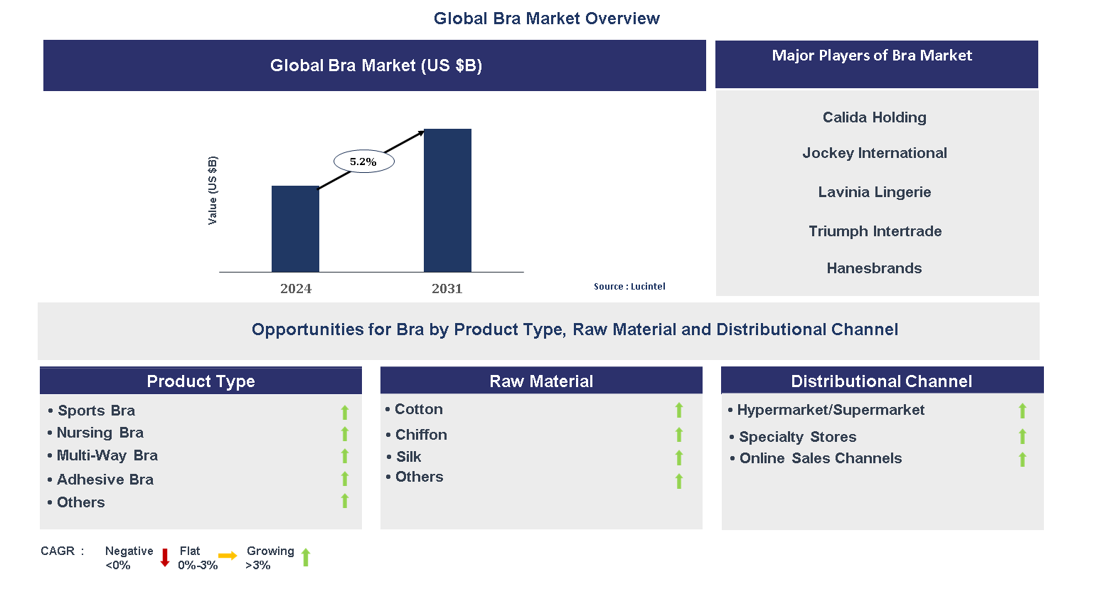 Bra Market Trends and Forecast
