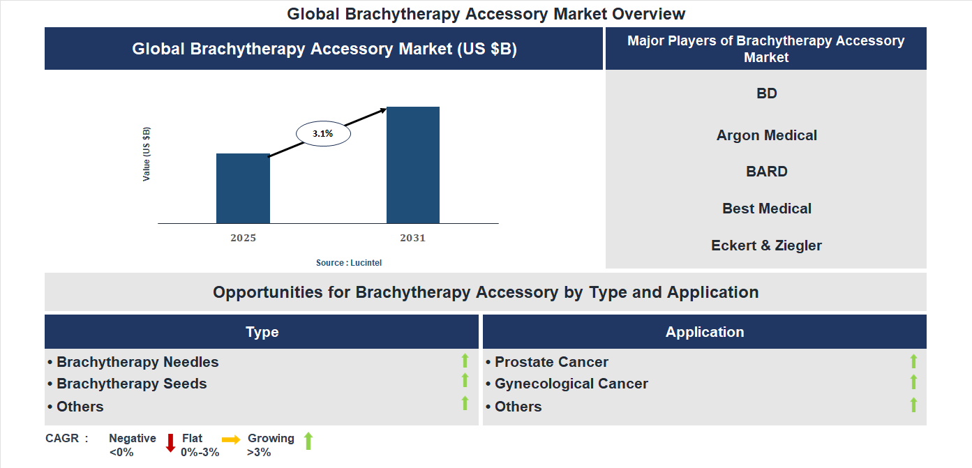 Brachytherapy Accessory Market Trends and Forecast