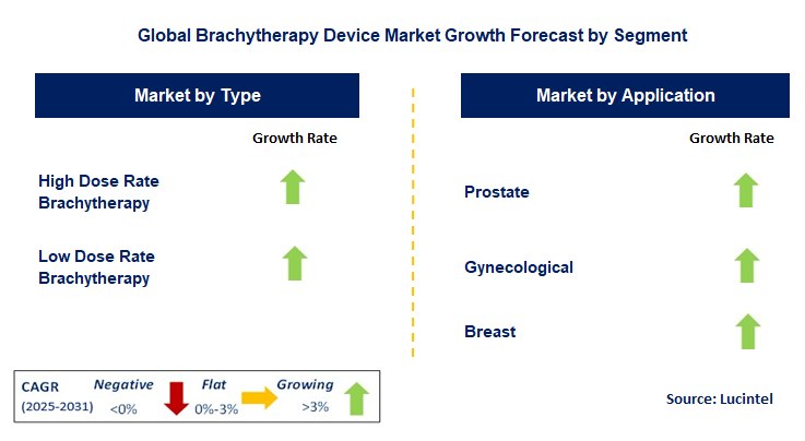 Brachytherapy Device Market by Segment