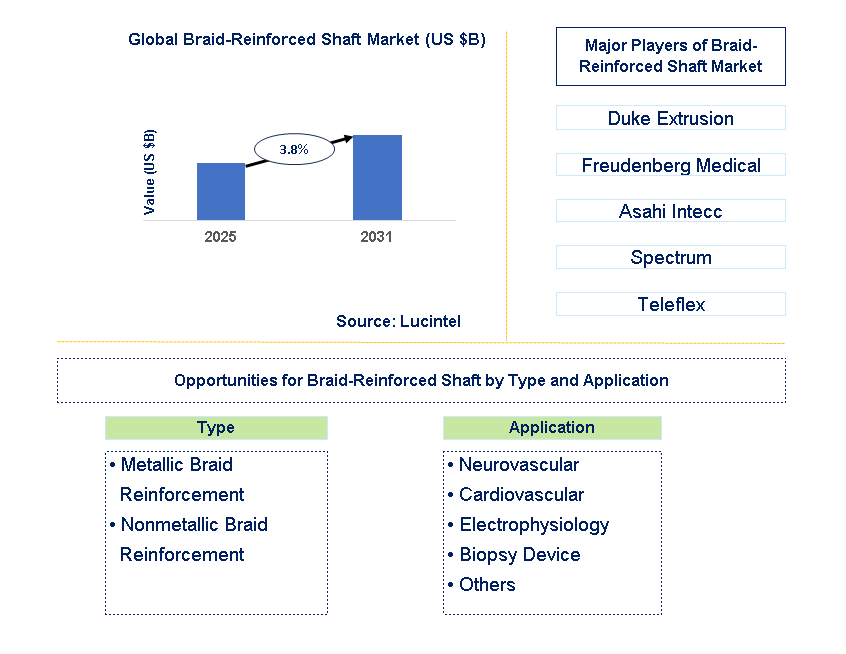 Braid-Reinforced Shaft Market Trends and Forecast