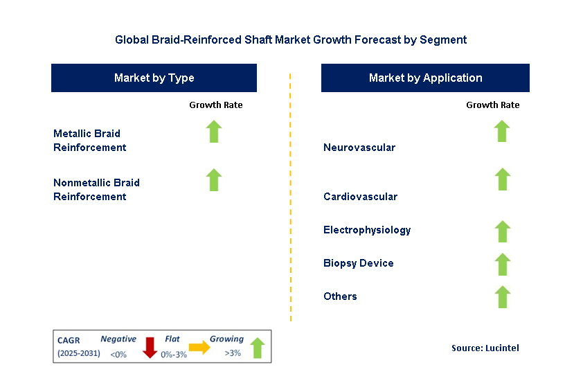 Braid-Reinforced Shaft Market by Segment