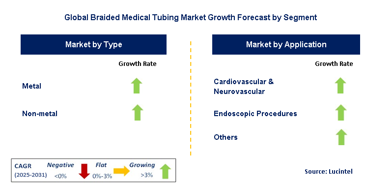 Braided Medical Tubing Market by Segment