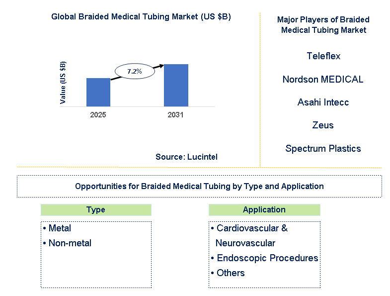 Braided Medical Tubing Market Trends and Forecast