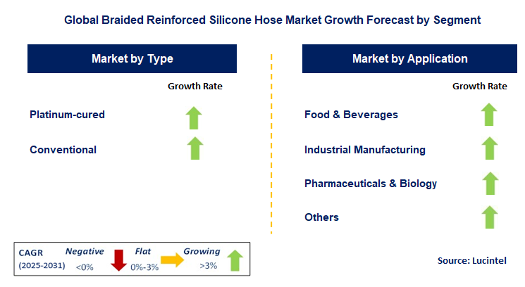 Braided Reinforced Silicone Hose Market by Segment