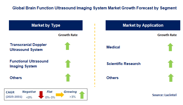 Brain Function Ultrasound Imaging System Market by Segment