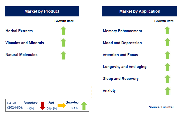 Brain Health Supplements by Segment