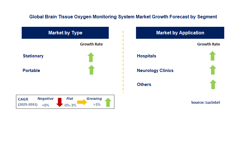 Brain Tissue Oxygen Monitoring System Market by Segment