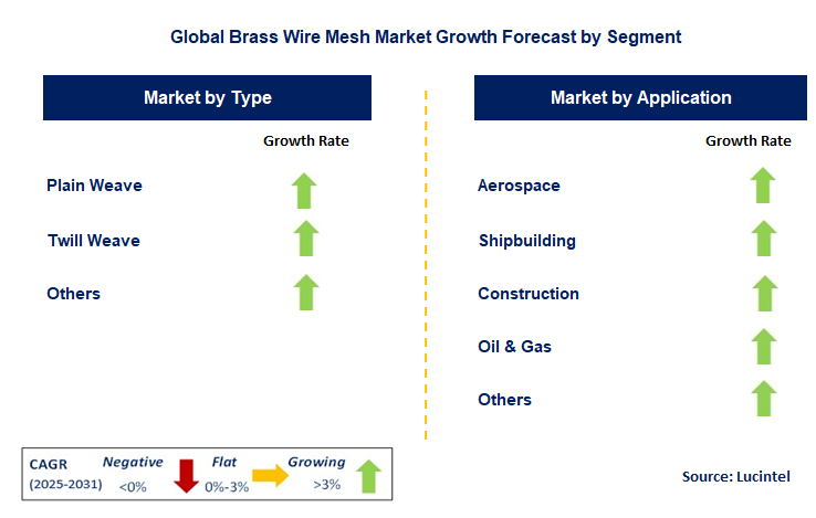 Brass Wire Mesh Market by Segment