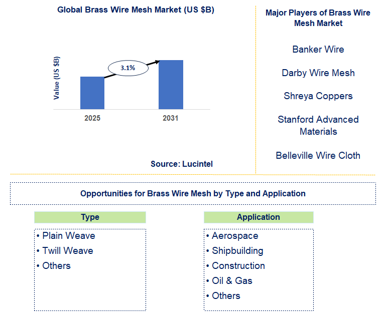 Brass Wire Mesh Market Trends and Forecast