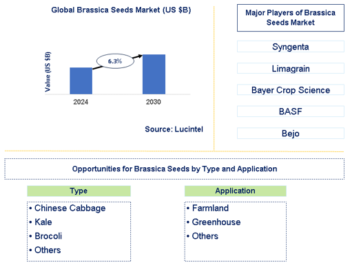 Brassica Seeds Market Trends and Forecast