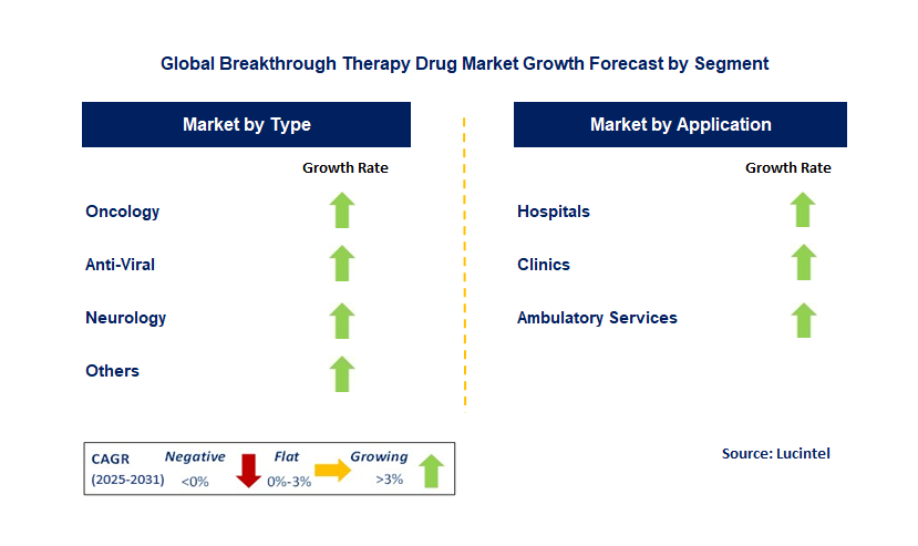 Breakthrough Therapy Drug Market by Segment