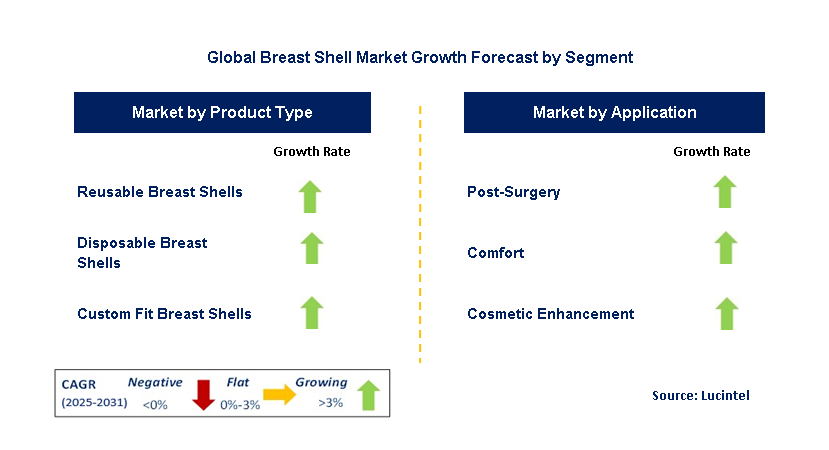 Breast Shell Market by Segment