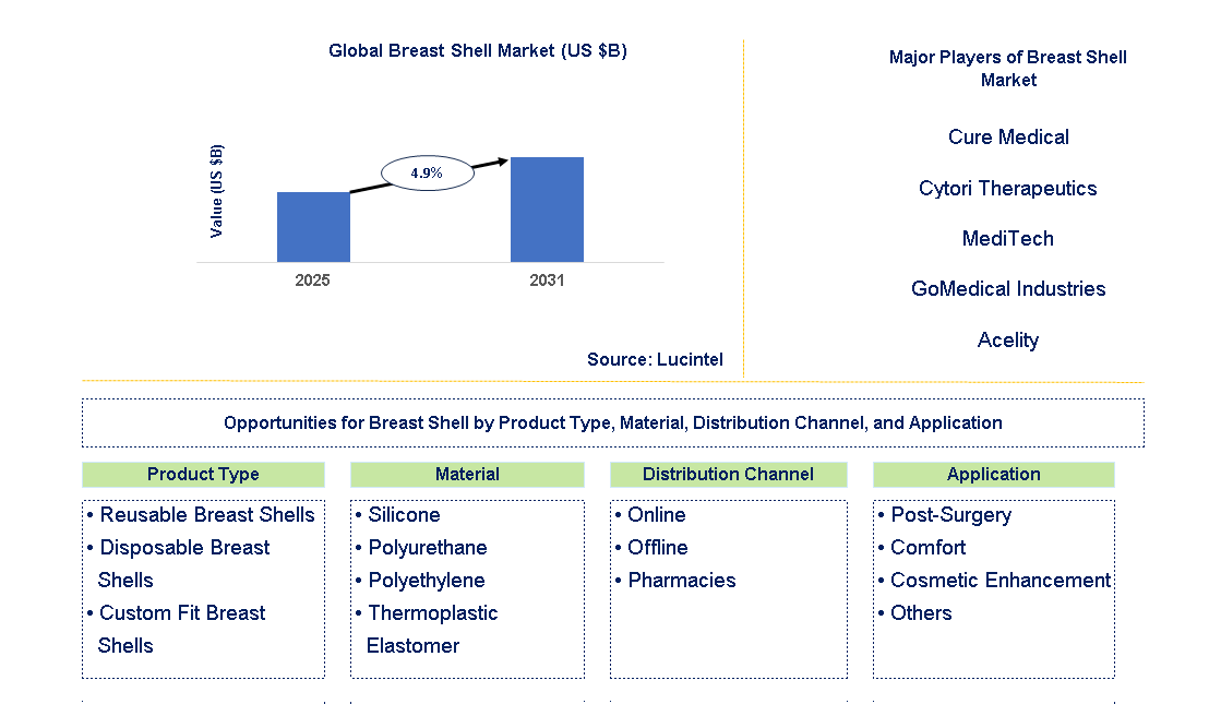 Breast Shell Market Trends and Forecast