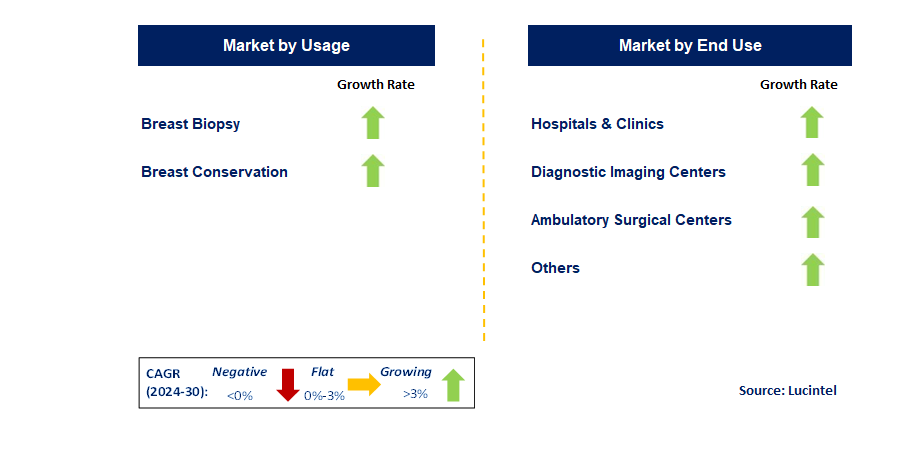 Breast Lesion Localization by Segment