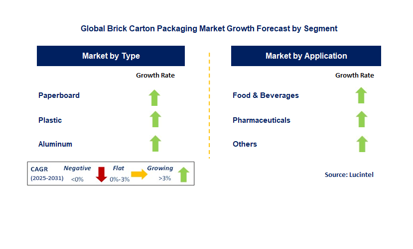 Brick Carton Packaging Market by Segment