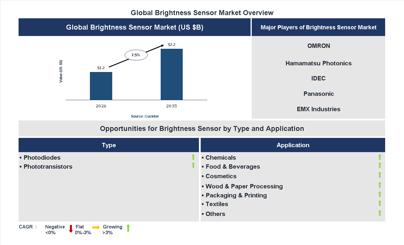Brightness Sensor Market Trends and Forecast