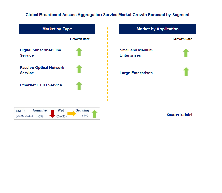 Broadband Access Aggregation Service Market by Segment