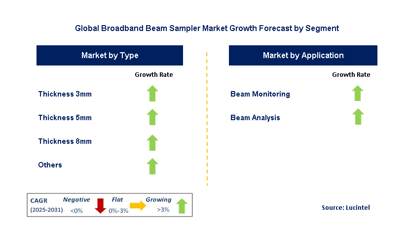 Broadband Beam Sampler Market by Segment