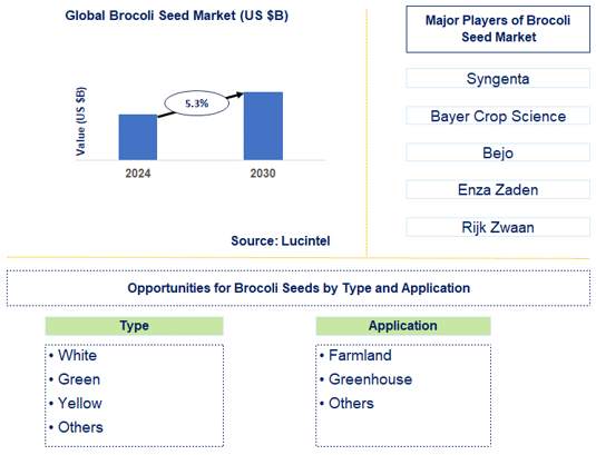 Brocoli Seed Market Trends and Forecast