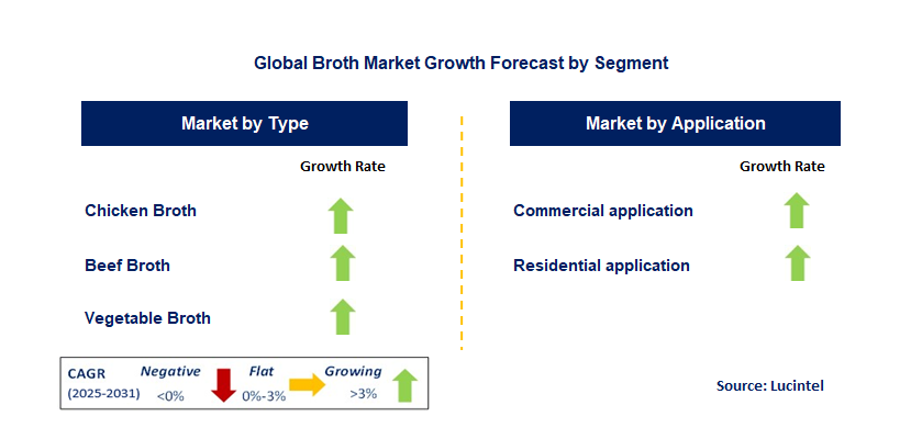 Broth Market by Segment